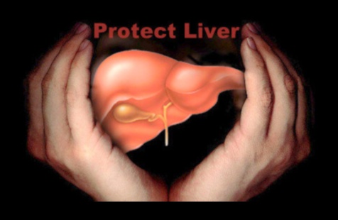 התפקיד של דיאטות דלות שומן בבריאות הכבד: גישה הוליסטית