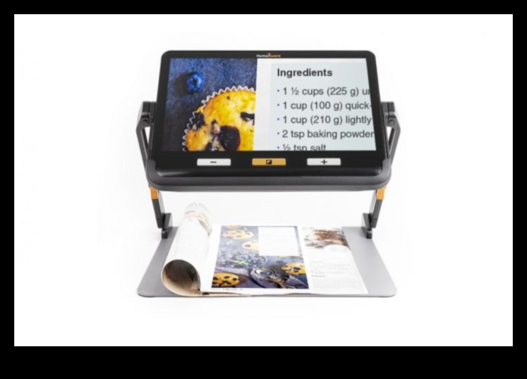 תמונה ניידת: וידאו אלקטרונית בדרכים לאניני טעם ויזואליים