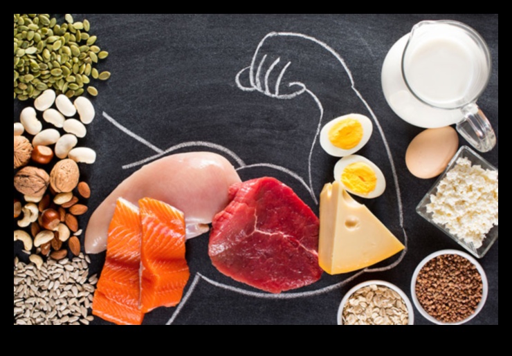 דיאטה עשירה בחלבונים - ברכה לביצועים אתלטיים 3 כיצד דיאטה עתירת חלבונים משפיעה על ביצועים ספורטיביים?