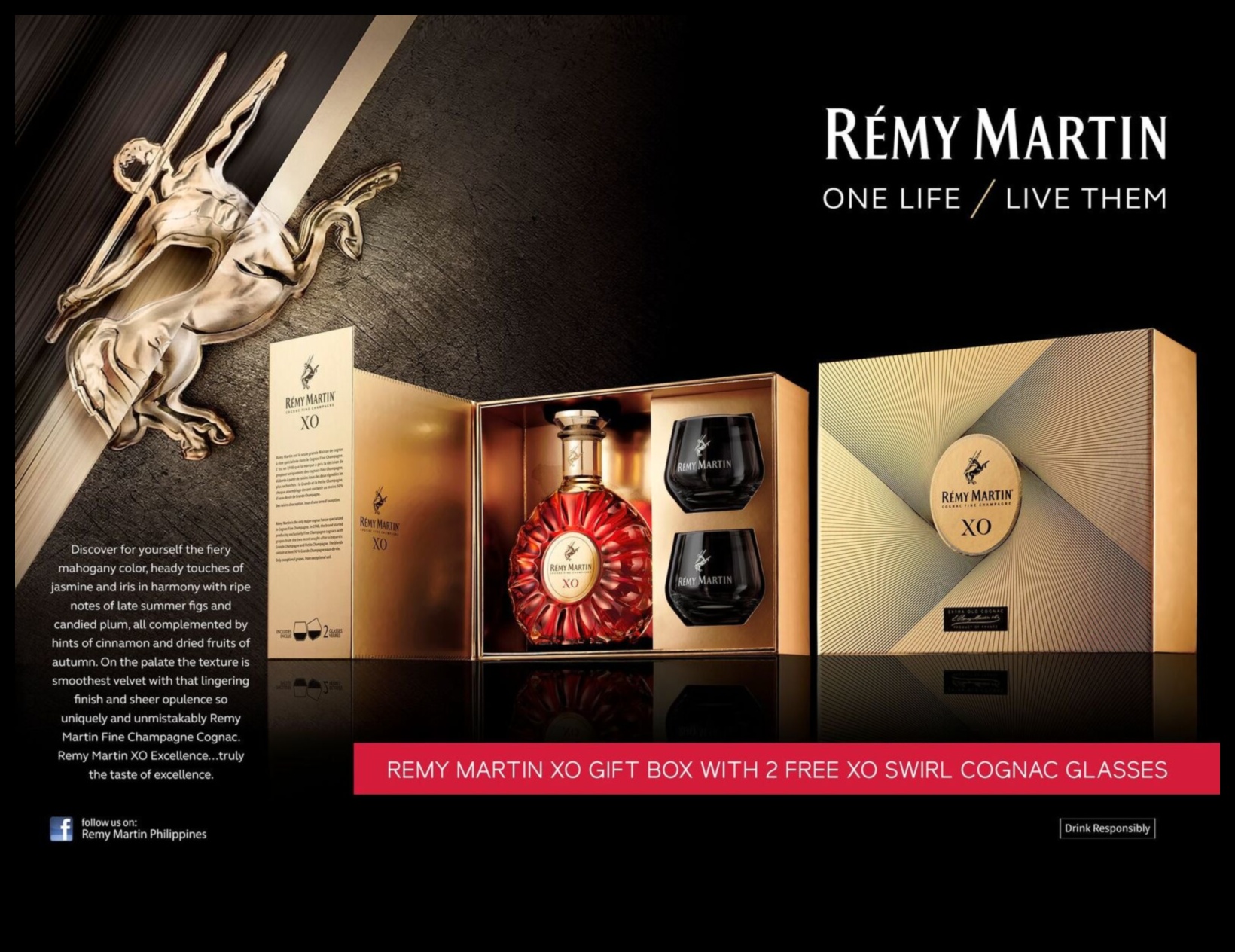 הרמוניה בקופסה קונספטים מיוחדים לכל אירוע 5 הרמוניה בקופסה: קונספטים מיוחדים לכל אירוע