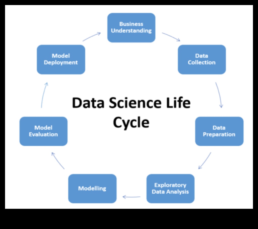 מקונספט לקוד: מדריך מקיף למדעי נתונים מקצועיים