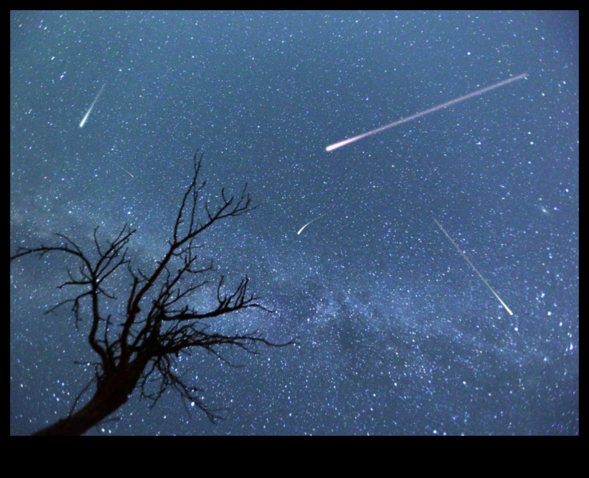 סופות ברד שמיימיות: מטאורואידים בתחזית מזג האוויר הגלקטית