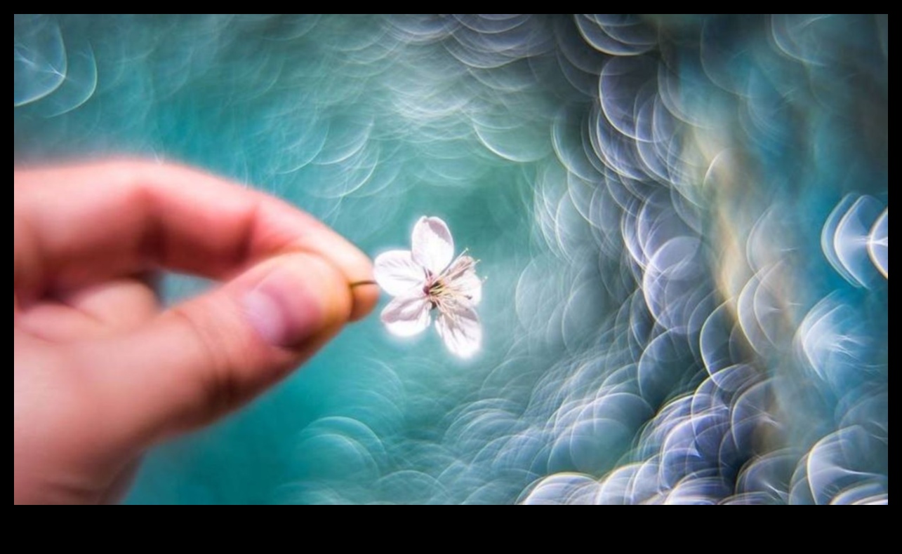 בוקה עוצר נשימה: מצלמות עם טשטוש רקע יפה