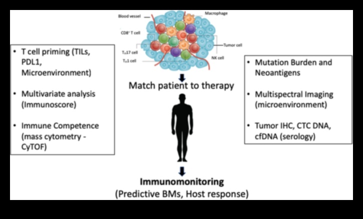 Pixel Perfect Health: השגת דיוק בפתרונות ביוטכנולוגיים