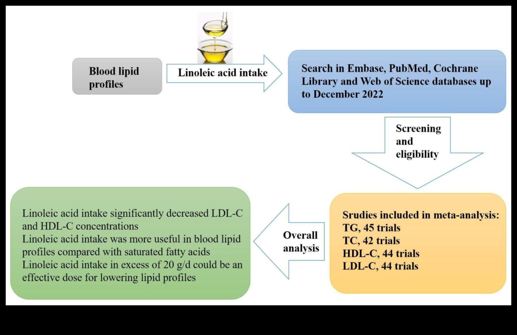 דיאטות אורח חיים ופרופילי שומנים בדם: מבט מקיף