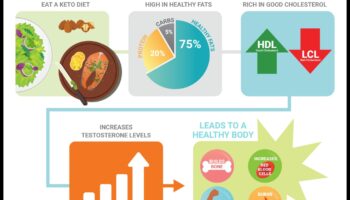 דיאטות דלות פחמימות וההשפעה על הבריאות ההורמונלית אצל גברים