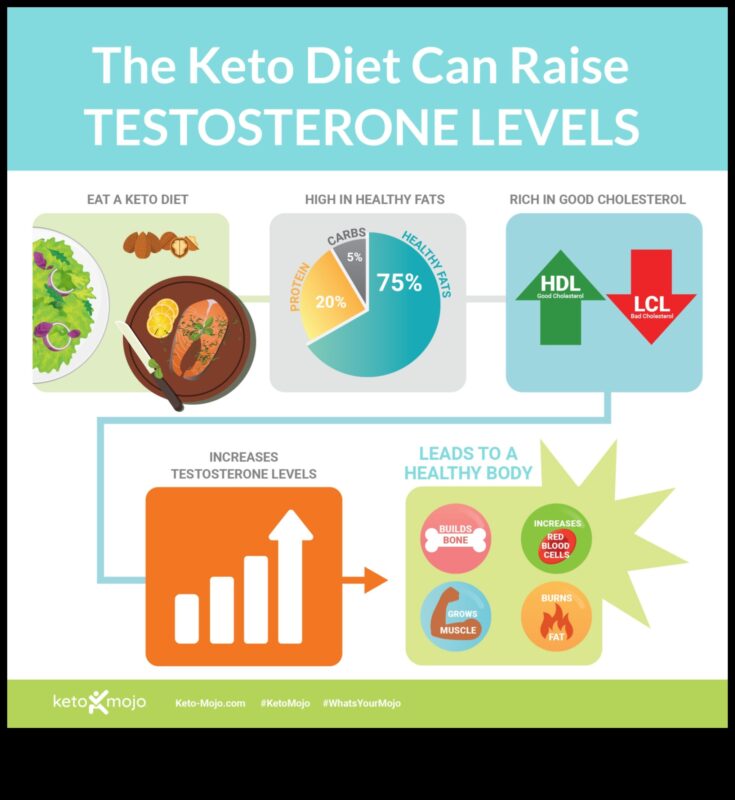 דיאטות דלות פחמימות וההשפעה על הבריאות ההורמונלית אצל גברים