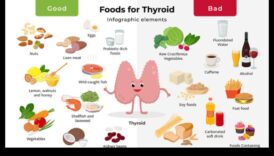 דיאטת בלוטת התריס מה לצרוך ולהימנע 3 דיאטות לעלייה במשקל להיפותירואידיזם: הזנת הגוף שלך