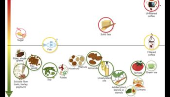דיאטות אורח חיים ופרופילי שומנים בדם: מבט מקיף