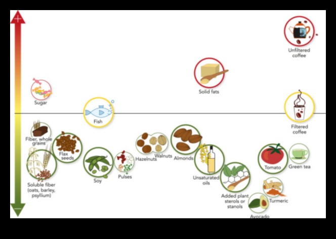 דיאטות אורח חיים ופרופילי שומנים בדם: מבט מקיף