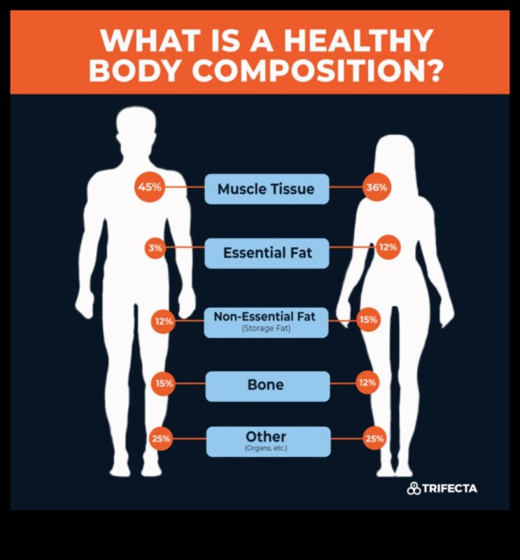השפעת הרכב הגוף על דיאטות הרזיה
