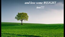 לך חסר ניסיון, רד במשקל 4 דיאטות צמחיות לירידה במשקל: עובדה או בדיה?