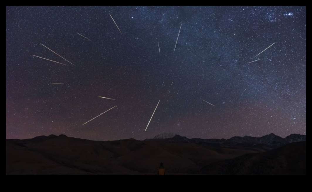 סופות ברד שמיימיות: מטאורואידים בתחזית מזג האוויר הגלקטית