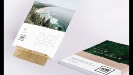 ממצאים טריים: מתנות החוגגות את שפע הטבע