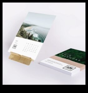 ממצאים טריים: מתנות החוגגות את שפע הטבע